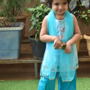 Salwar Kurti_Blue